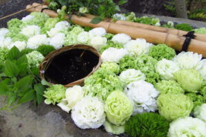 4月の花手水です。