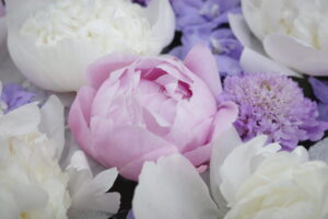 ５月の花手水です。