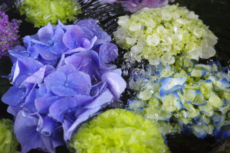 Read more about the article ６月の花手水です。