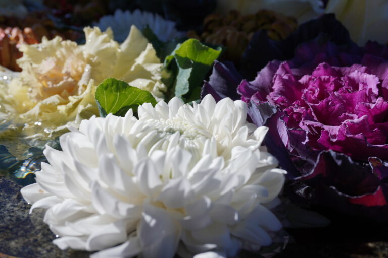 Read more about the article １月の花手水です。