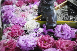 ５月の花手水です。