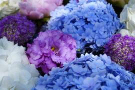 ６月の花手水です。