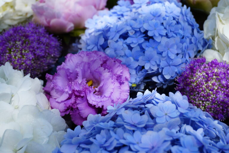 Read more about the article ６月の花手水です。