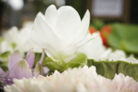 ８月の花手水です。