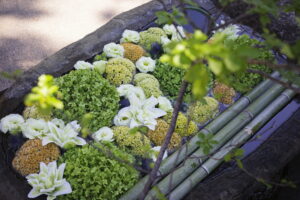 ９月の花手水です。