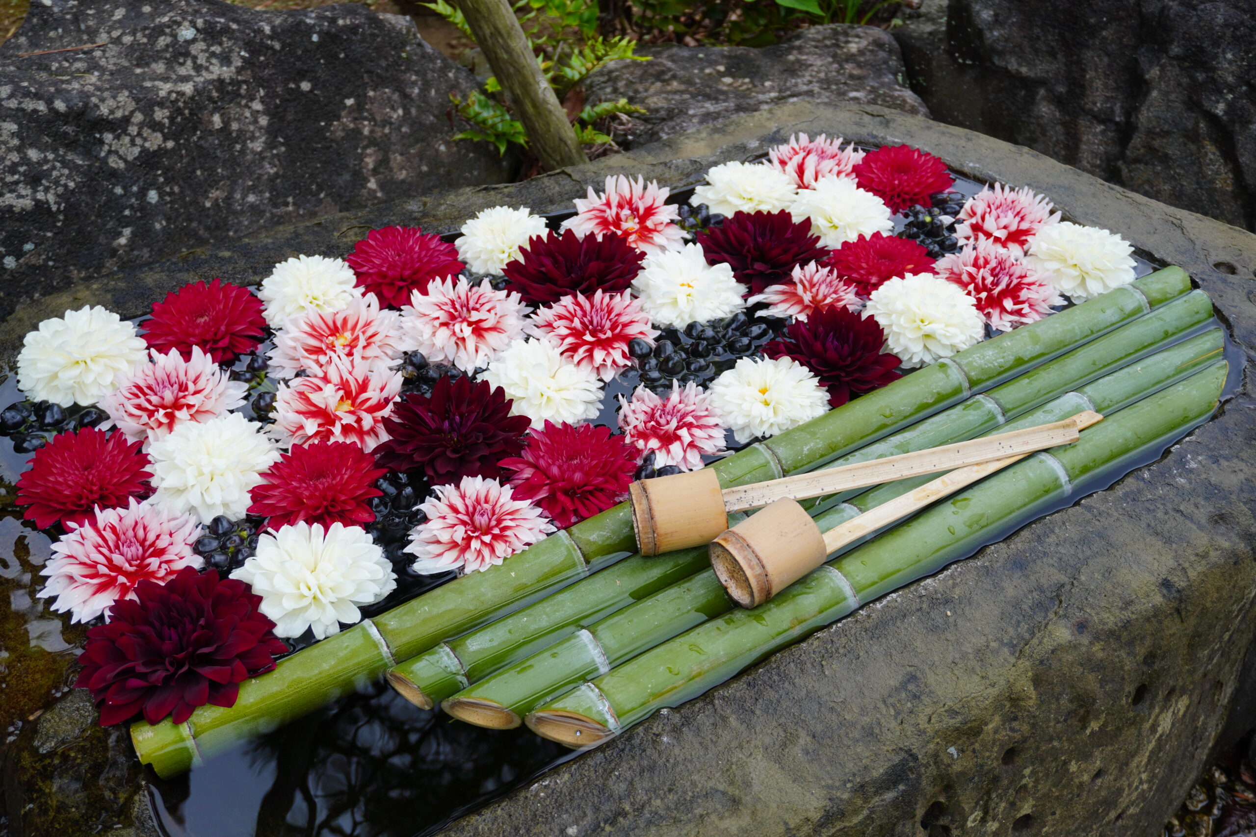 投稿についてもっと詳しく 10月の花手水です。