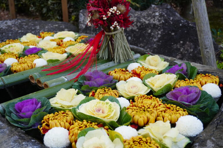 投稿についてもっと詳しく 1月の花手水です。
