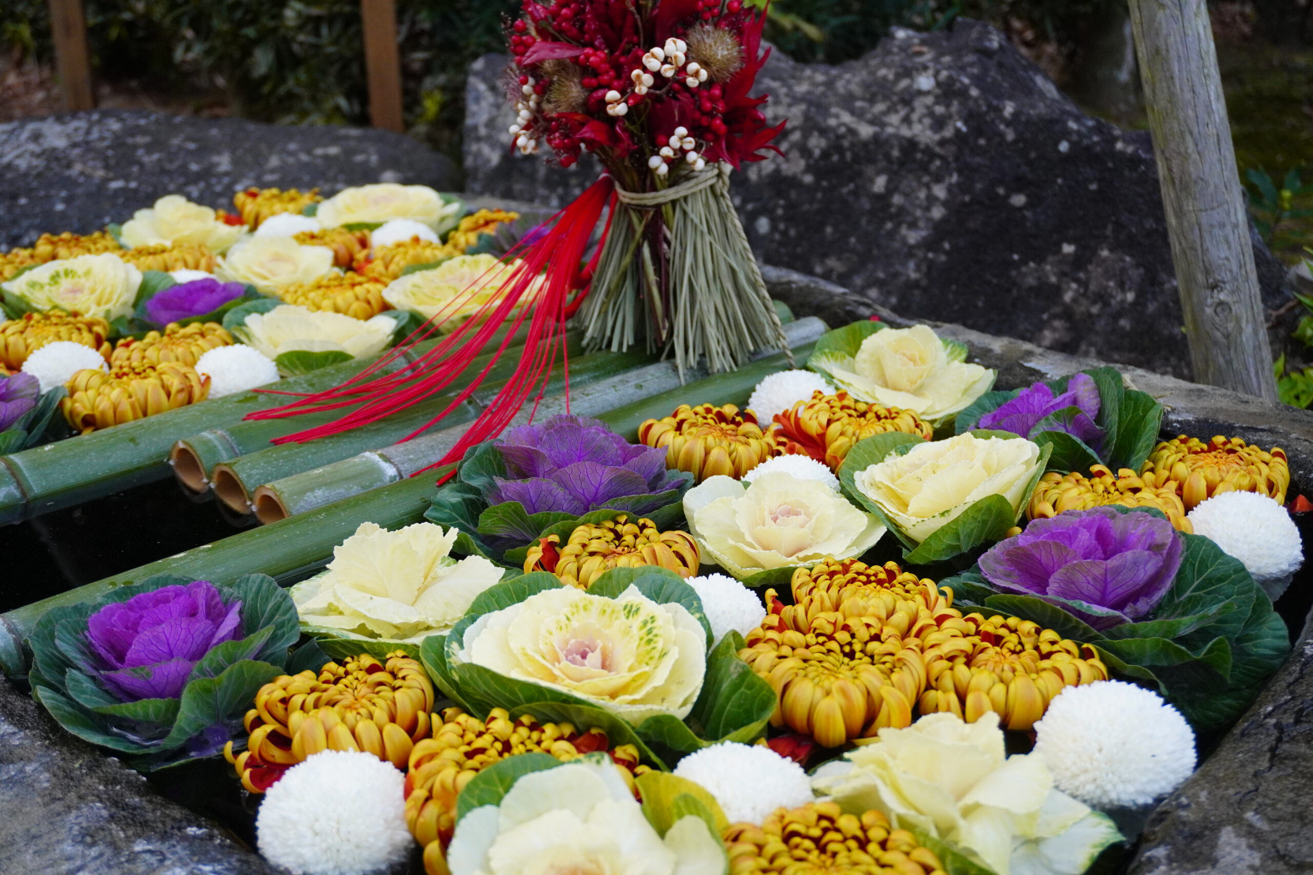 投稿についてもっと詳しく 1月の花手水です。