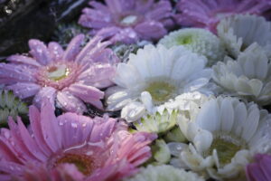 2月の花手水です。