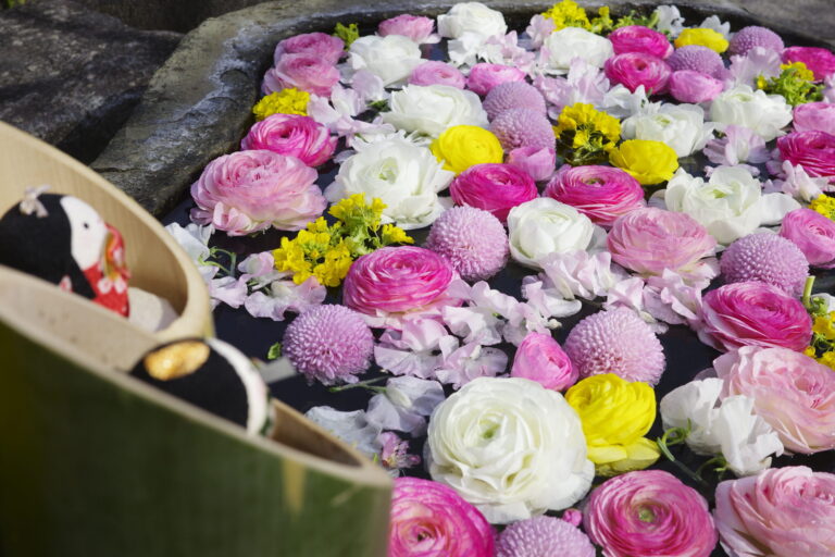 投稿についてもっと詳しく 3月の花手水です。