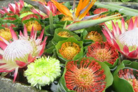 9月の花手水です。