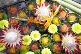 9月の花手水です。