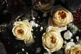11月の花手水です。